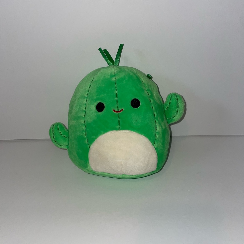 Squishmallow 5 inch cactus
